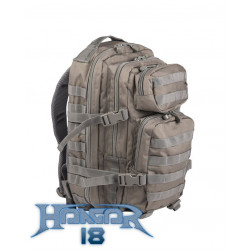 Backpack US Assault 20L Foliage Green