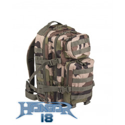 Backpack US Assault 20L CCE Camo