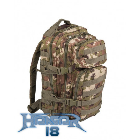 Backpack US Assault 20L Vegetato