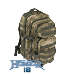 Backpack US Assault 20L A-Tacs