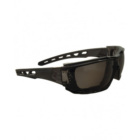 Black Googles SwissEye NET