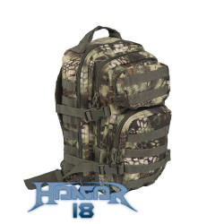 Backpack US Assault 20L Mandrake