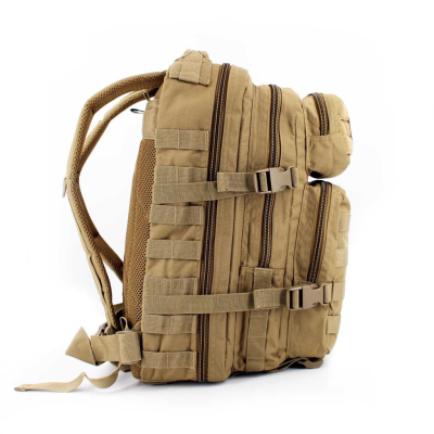 Molle Backpack LG 20 L – Coyote [Immortal Warrior]