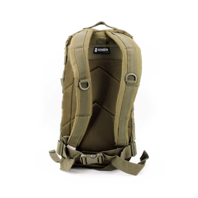 Molle Backpack LG 20 L – Olive [Immortal Warrior]