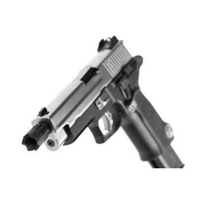 WE P226 Virus Full Metal GBB Dual Tone Airsoft Pistol - photo 4