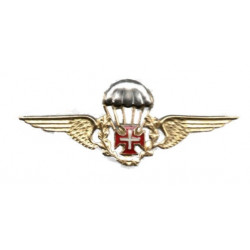 Brevet Metallic Civilian Paratrooper